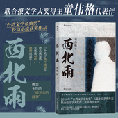 骆以军推荐 西北雨 童伟格魔幻现实主义代表作品印刻文学港台当代长篇小说家族故事书籍 现货 后浪正版