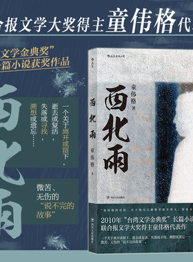 后浪正版现货 西北雨 骆以军推荐童伟格魔幻现实主义代表作品印刻文学港台当代长篇小说家族故事书籍