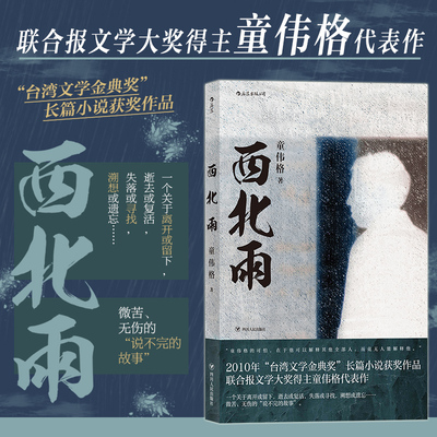 后浪正版现货 西北雨 骆以军推荐童伟格魔幻现实主义代表作品印刻文学港台当代长篇小说家族故事书籍