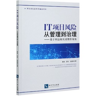 博库网 IT项目风险从管理到治理 基于利益相关者博弈视角官方正版