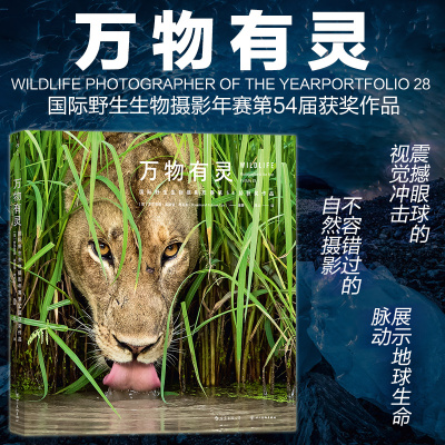 第54届国际野生生物摄影作品