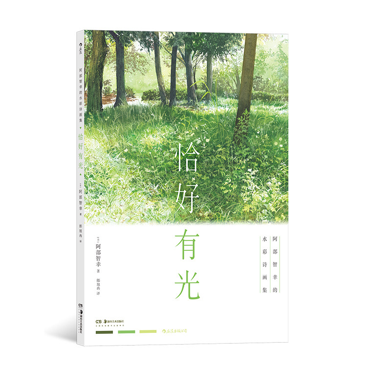 后浪正版 恰好有光 阿部智幸的水彩诗画集 配色构图晕染诗画相配 水彩艺术画集