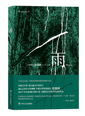后浪正版包邮 雨 黄锦树 金鼎奖文学图书奖获奖作品 短篇小说 作品集 现代文学 马华文学 但是还有书籍朱岳推荐