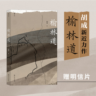 再见故乡 风土人情 胡成 赠彩色明信片 纪实文学书籍 榆林道 再见边关 陕西历史文化怀旧随笔散文 后浪正版