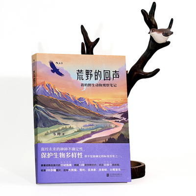 跟随动物一起去旅行敬畏自然