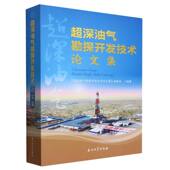 超深油气勘探开发技术论文集 博库网 官方正版