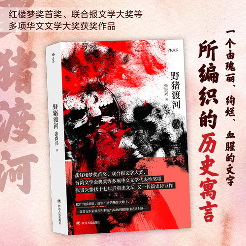 红楼梦奖首奖、联合报文学大奖作品