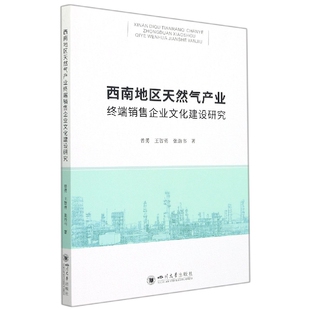 西南地区天然气产业终端销售企业文化建设研究官方正版 博库网