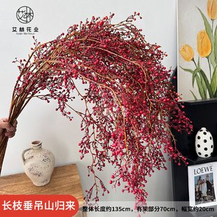 仿真长枝山归来仿真花束家居装饰氛围感天然枝条摆放花艺