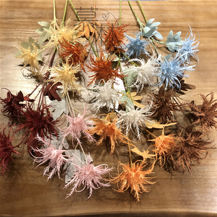 3头刺芹 仿真塑料森系蟹爪菊野果帝王花山野风婚庆装饰拍摄道具