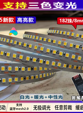 三色变光24v灯带智能调光调色240珠180低压led线行灯客厅吊顶灯条