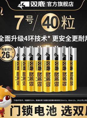 双鹿电子锁指纹锁适用电池密码锁1.5V碱性7号电池防盗门智能门锁儿童玩具遥控器AAA七号干电池40节装不漏液