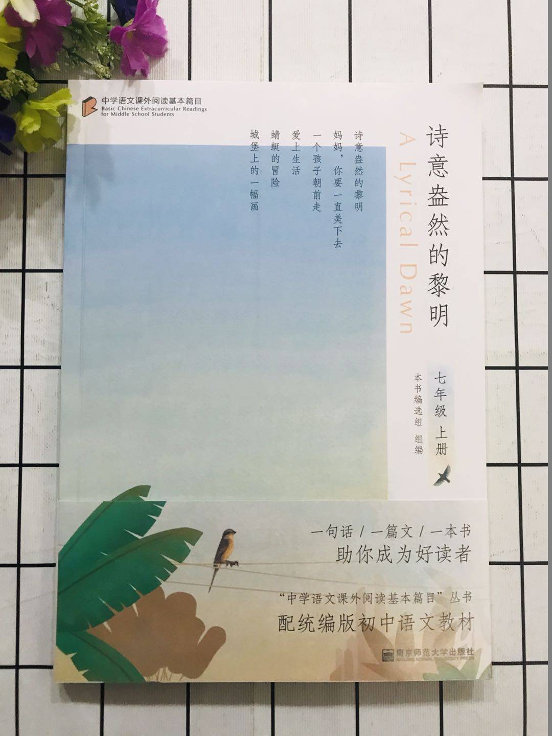 正版诗意盎然的黎明中学语文课外阅读基本篇目七年级7年级上册配统编