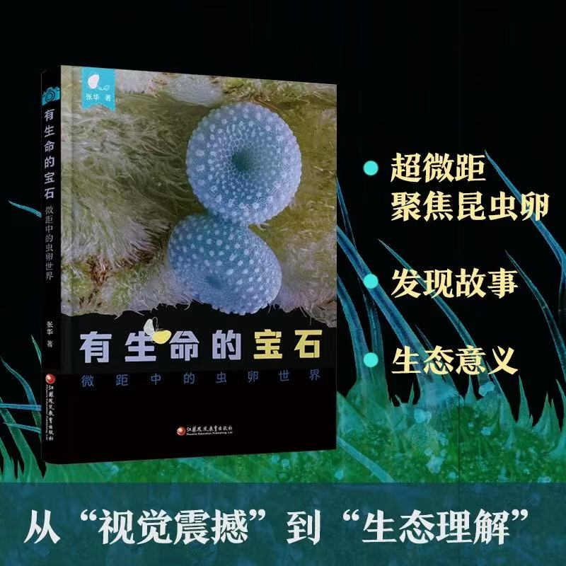 有生命的宝石 微距中的虫卵世界 走进蝴蝶的宝石秘密基地收录60余种昆虫儿童青少年自然昆虫科普读物