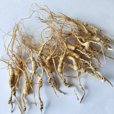 适合自用打粉泡茶煲汤山参