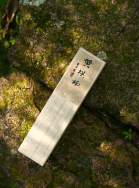黄棋楠沉香线香50克装