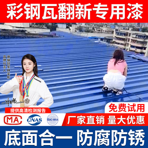 【德国品牌技术】彩钢瓦翻新油漆