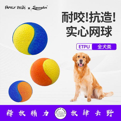 狗狗玩具球实心耐咬磨牙网球互动巡回训练球自嗨解闷神器中大型犬