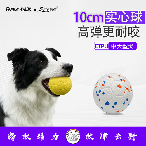 狗狗玩具球足球大球实心耐咬磨牙解闷互动自嗨玩具大狗金毛边牧
