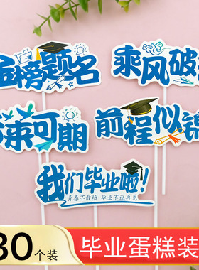 我们毕业啦金榜题名蛋糕装饰插排未来可期前途似锦乘风破浪插旗件