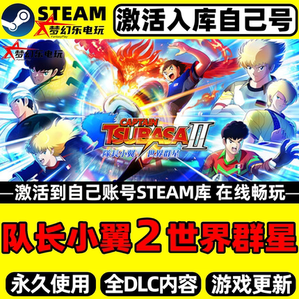 队长小翼2世界群星Steam激活自己库里CAPTAIN TSUBASA 2全DLC游戏