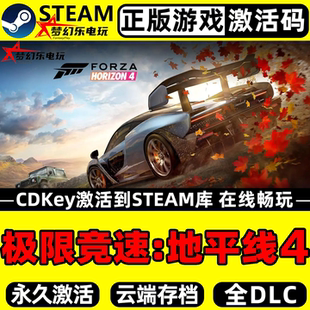 极限竞速地平线4 Forza Horizon steam正版激活码Key入库CDK全DLC