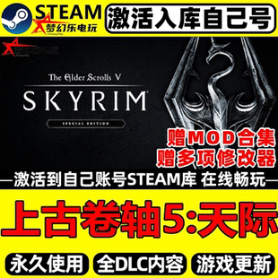 上古卷轴5天际特别版Steam激活自己库里 全DLC包更新单机电脑游戏