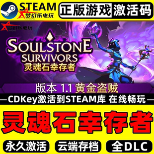 灵魂石幸存者正版Steam激活码CDKey入库Soulstone Survivors全DLC