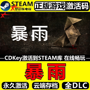 CDKey入库 Steam激活码 Heavy Rain 游戏 暴雨 全DLC记叙电影式 正版