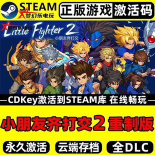 重制版 Fighter 正版 CDKey入库Little Steam激活码 小朋友齐打交2
