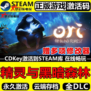 入库 Ori and 精灵与黑暗森林 Blind Steam激活码 the Forest 正版