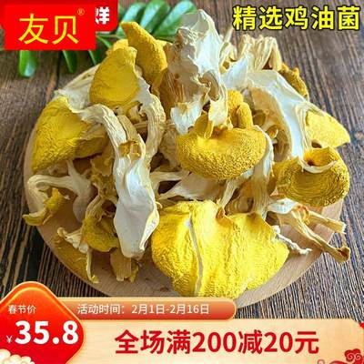 云珍鸡油菌黄干货500g 榆黄菌黄丝菌北风菌云南 野生菌特产菇包邮