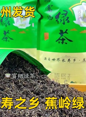 广东梅州蕉岭绿茶炒青绿茶500g
