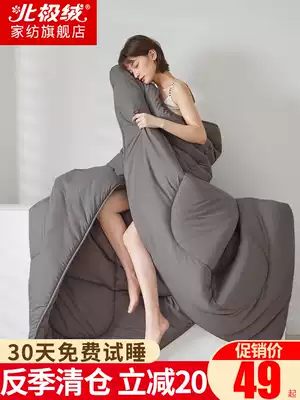 Quilt winter quilt thickened warm quilt core double spring and autumn quilt single student dormitory quilt cushion Air conditioning quilt thin section