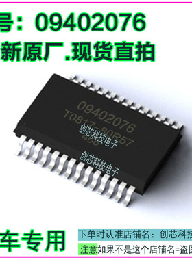 09402076 汽车电脑IC芯片贴片SOP28全新进口原厂质量保证现货直拍