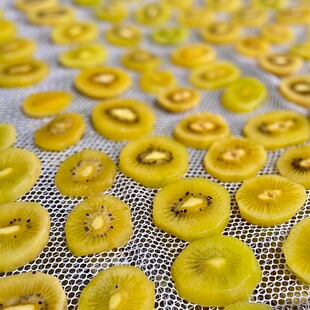 【猕野酸酸】嗜酸爱好者 本味无添加原味猕猴桃干 不加糖 不涩