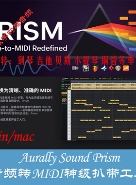 Aurally Sound Prism 超强音频转MIDI插件 神级扒带工具 win/mac