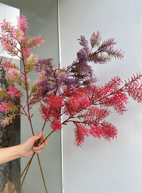 英伦欧堡新款婚庆仿真花蓬莱松紫色雪松婚礼吊顶路引软装团雾假叶