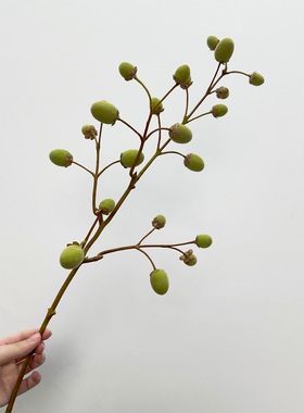 花艺室内浆果猕猴桃果枝假花花束家居摆件仿真绿植毛桃果装饰干花