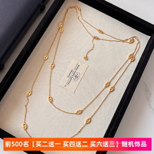 项链女满天星金色配饰新款 猪鼻子长款 轻奢高级感双层叠戴锁骨颈链