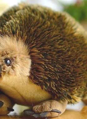 （代购）澳大利亚korimco仿真大号针鼹echidna毛绒玩具公仔