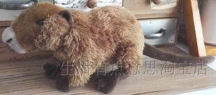 （代购）韩国leosco仿真麝鼠muskrat毛绒玩具公仔