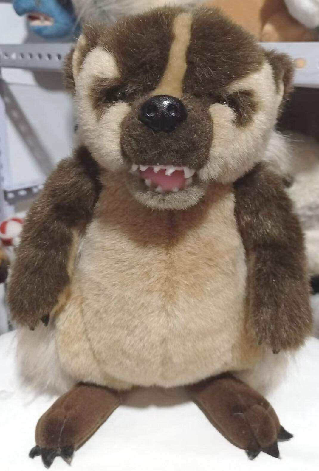 （定做）美国威斯康星大学吉祥物仿真美洲獾badger毛绒玩具公仔