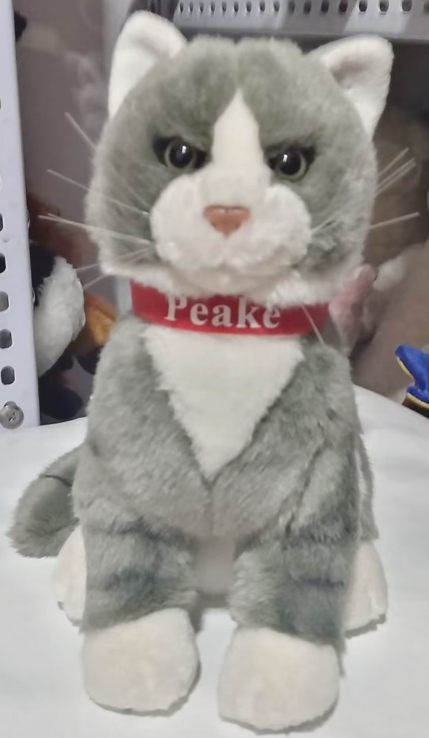 （定做）仿真曼基康矮脚猫曼赤肯短腿猫munchkin cat毛绒玩具公仔