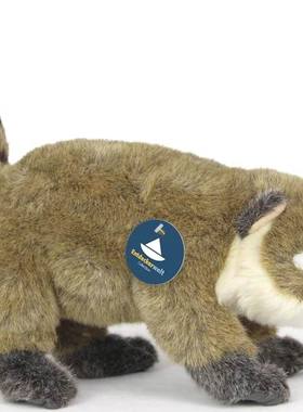 （代购）德国semo仿真小号南美长吻浣熊coati毛绒玩具公仔