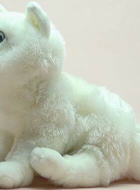 （代购）美国save our space仿真北极狐arctic fox毛绒玩具公仔