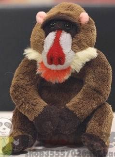 （代购）美国国家地理仿真山魈小宝宝mandrill毛绒玩具公仔