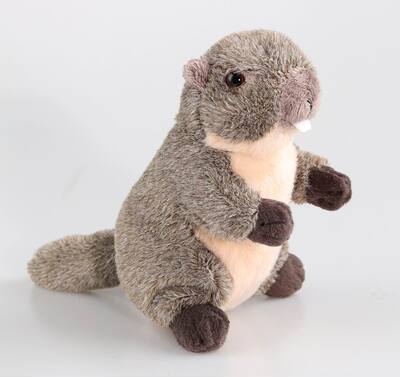 美国国家地理毛绒玩具现货包邮