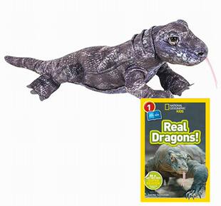 仿真科莫多巨蜥科摩多龙komodo dragon毛绒玩具公仔 代购