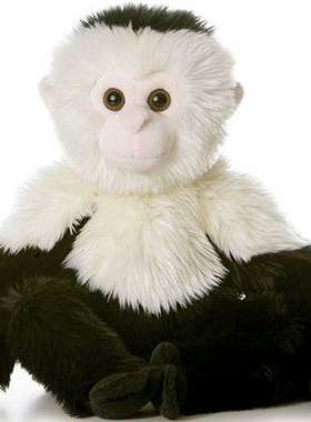 （定做）仿真白头卷尾猴capuchin毛绒玩具公仔